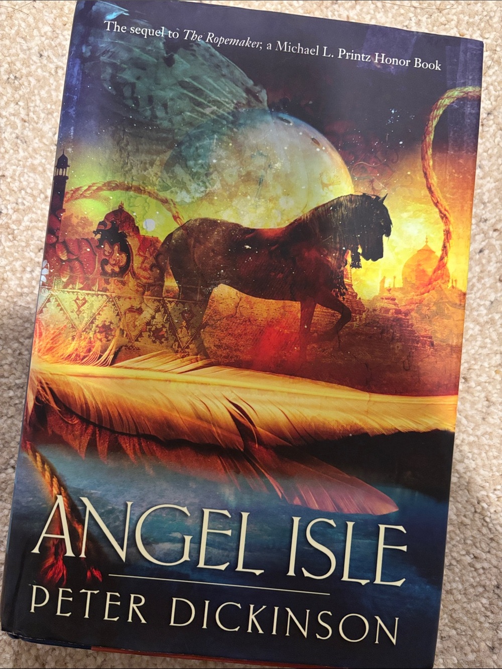 Peter Dickinson Angel Isle Hardcover Book - Multicolor